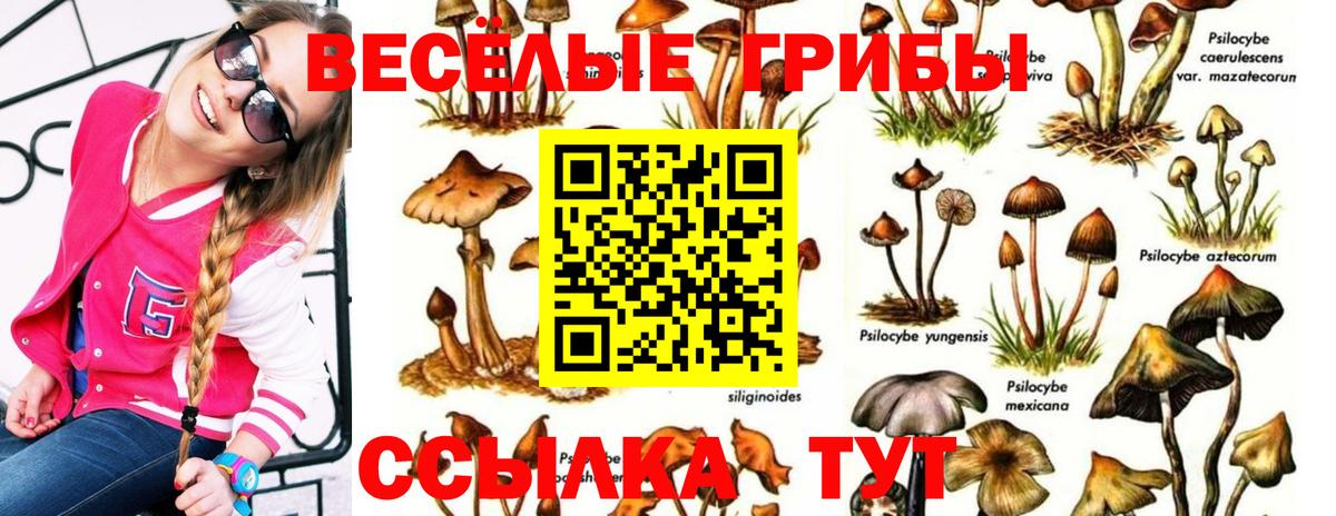 Корсаков  Псилоцибиновые грибы GOLDEN TEACHER  Вход с VPN  Галлюциногенные грибы Psilocybine cubensis 